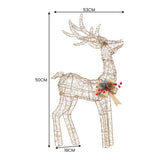 Outdoor Decorations & Lights: Christabelle Light Up Christmas Reindeer Display Indoor & Outdoor Decoration Warm White LED Lights Gold Bow Wire Frame