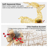 Outdoor Decorations & Lights: Christabelle Light Up Christmas Reindeer Display Indoor & Outdoor Decoration Warm White LED Lights Gold Bow Wire Frame