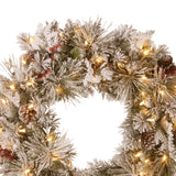 Christmas Trees: Christabelle 61cm Snowy Christmas Wreath Bedford with LED Lights Front Door Decoration Ornament