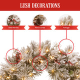 Christmas Trees: Christabelle 61cm Snowy Christmas Wreath Bedford with LED Lights Front Door Decoration Ornament