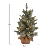 Christmas Decorations: Christabelle 61cm Pre-Lit Snowy Stamford Spruce Battery-Operated Mini Christmas Tree Multi-Functional LED Timer