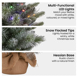 Christmas Decorations: Christabelle 61cm Pre-Lit Snowy Stamford Spruce Battery-Operated Mini Christmas Tree Multi-Functional LED Timer