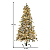 Christmas Trees: National Tree Company Snowy Stamford Spruce 7.5ft Christmas Tree Multi Functional White Coloured LED Lights & Foot Pedal