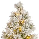 Christmas Trees: Christabelle 61cm Majestic Snow Tabletop Prelit Christmas Tree