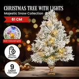 Christmas Trees: Christabelle 61cm Majestic Snow Tabletop Prelit Christmas Tree