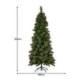Christmas Trees: Christabelle 7.5ft Christmas Tree Slim Glittery Gold Pine Led Lights Xmas Decor
