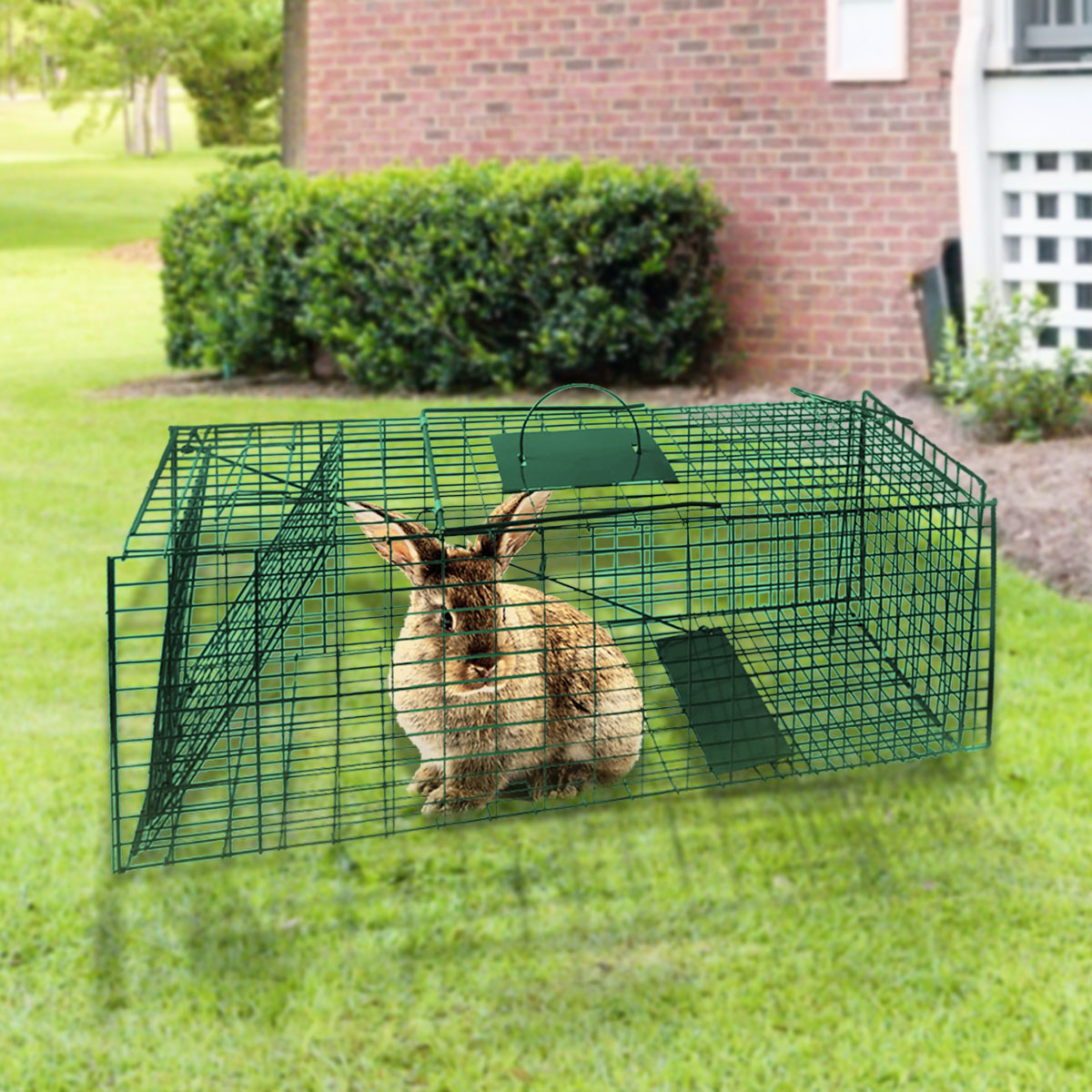 Animal Traps: Klika Humane Live Animal Trap Possum Rat Rabbit Hare Catcher Folding Cage