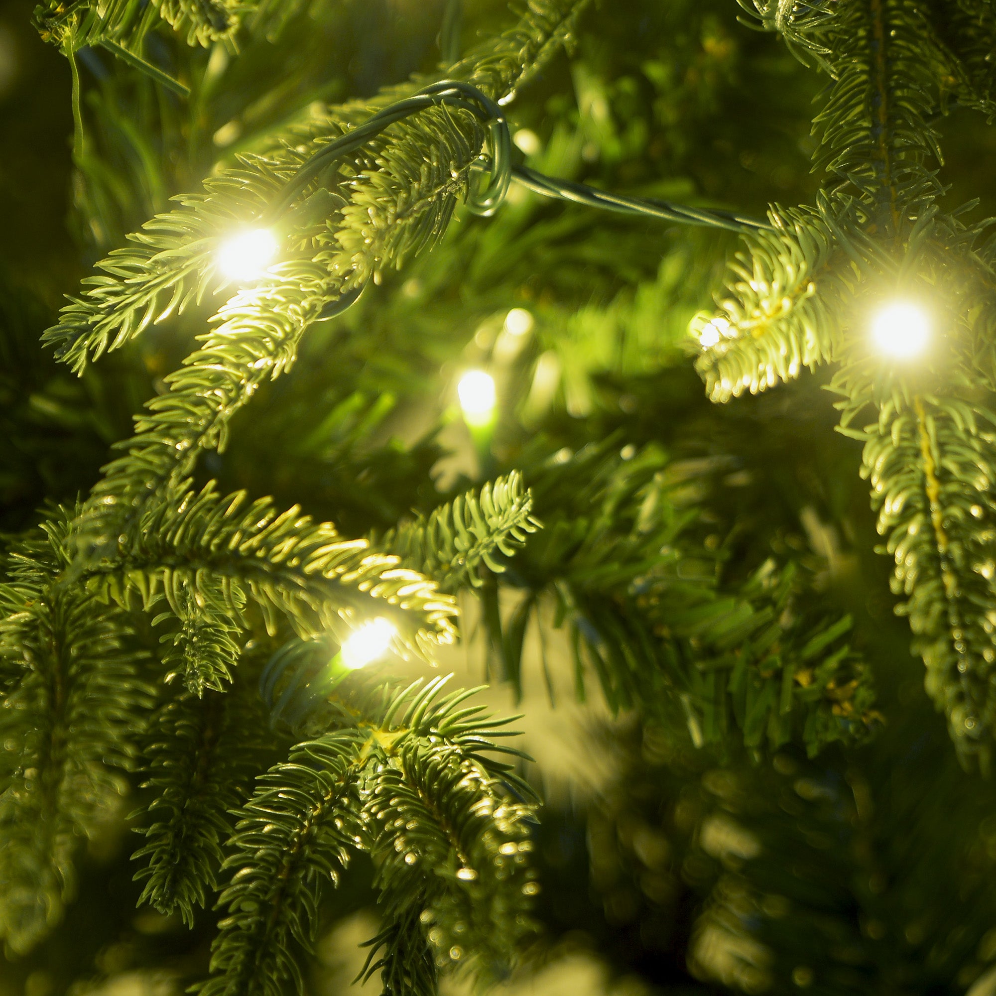 Christmas Trees: Christabelle 1.8m Prelit Everglow Fir Christmas Tree With 300 Led Lights