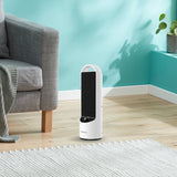 Electric Heaters: Dimplex 2kW Personal DC Ceramic Heater in Black and White