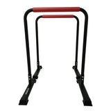 Gym Equipment & Accessories: Powertrain Dip Bars Pair Load Capacity 200kg Separated Type Push-up Bars