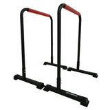 Gym Equipment & Accessories: Powertrain Dip Bars Pair Load Capacity 200kg Separated Type Push-up Bars