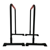 Gym Equipment & Accessories: Powertrain Dip Bars Pair Load Capacity 200kg Separated Type Push-up Bars