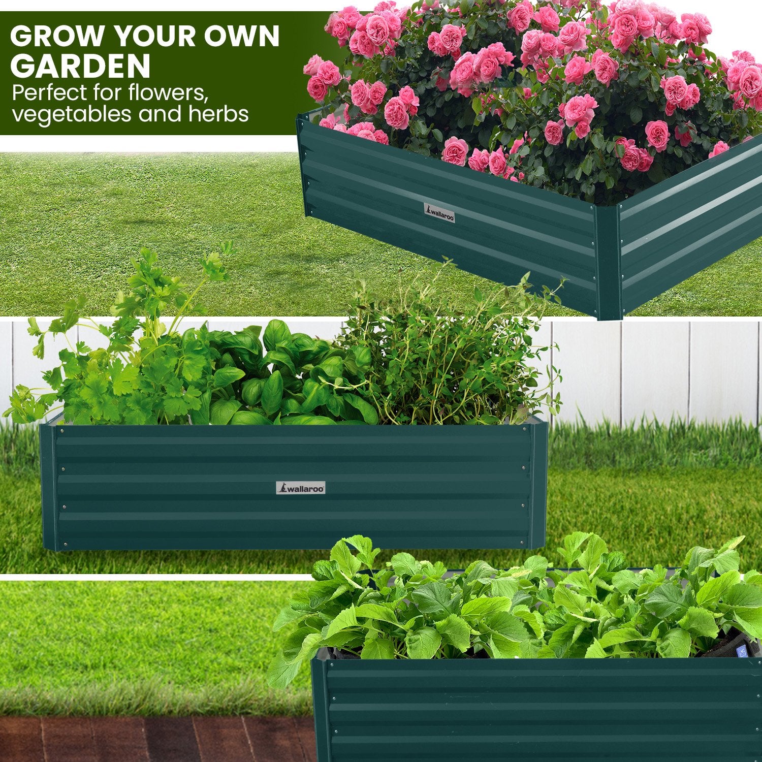 Beds & Bed Frames: Wallaroo Garden Bed 120 x 60 x 30cm Galvanized Steel - Green