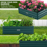 Beds & Bed Frames: Wallaroo Garden Bed 120 x 60 x 30cm Galvanized Steel - Green