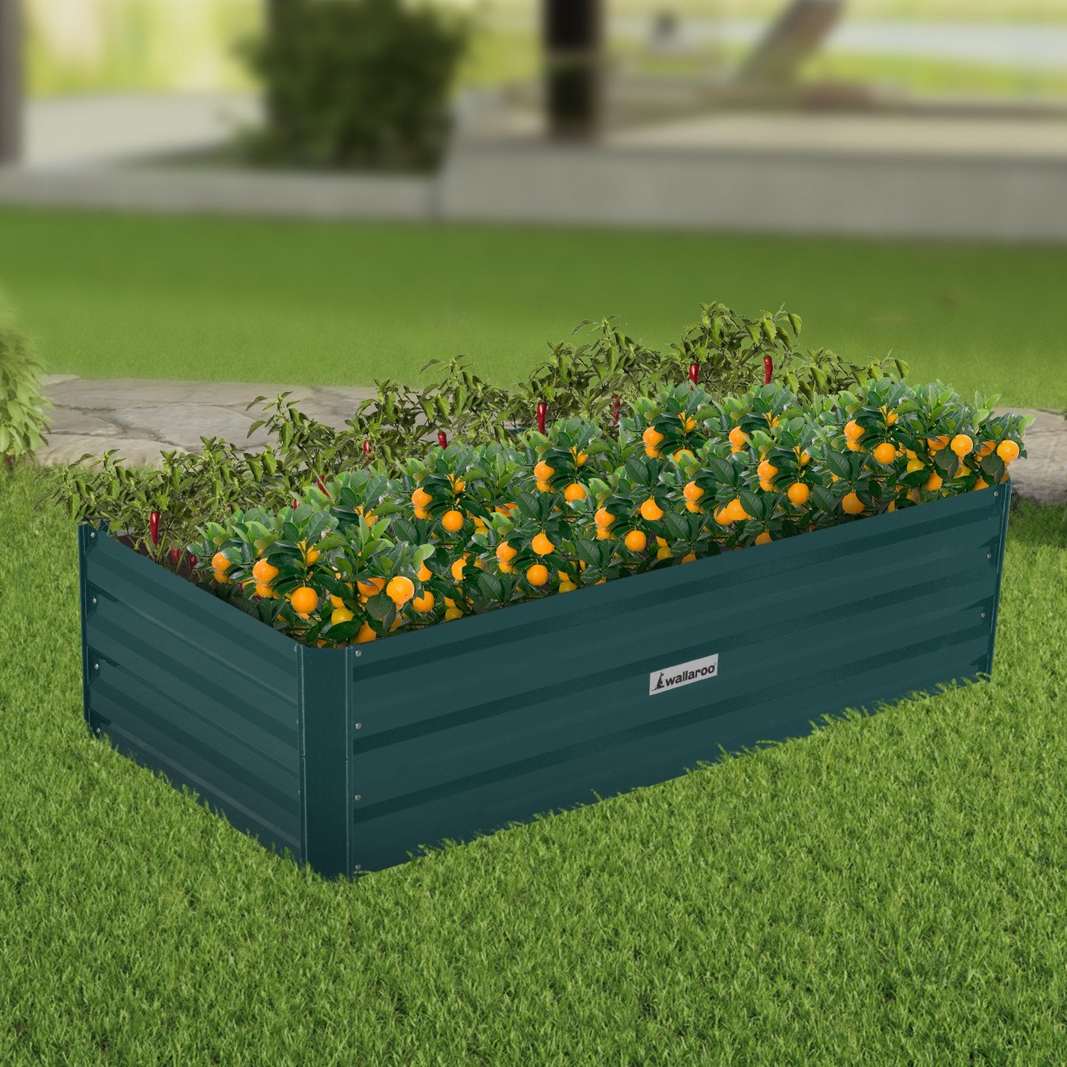Beds & Bed Frames: Wallaroo Garden Bed 120 x 60 x 30cm Galvanized Steel - Green