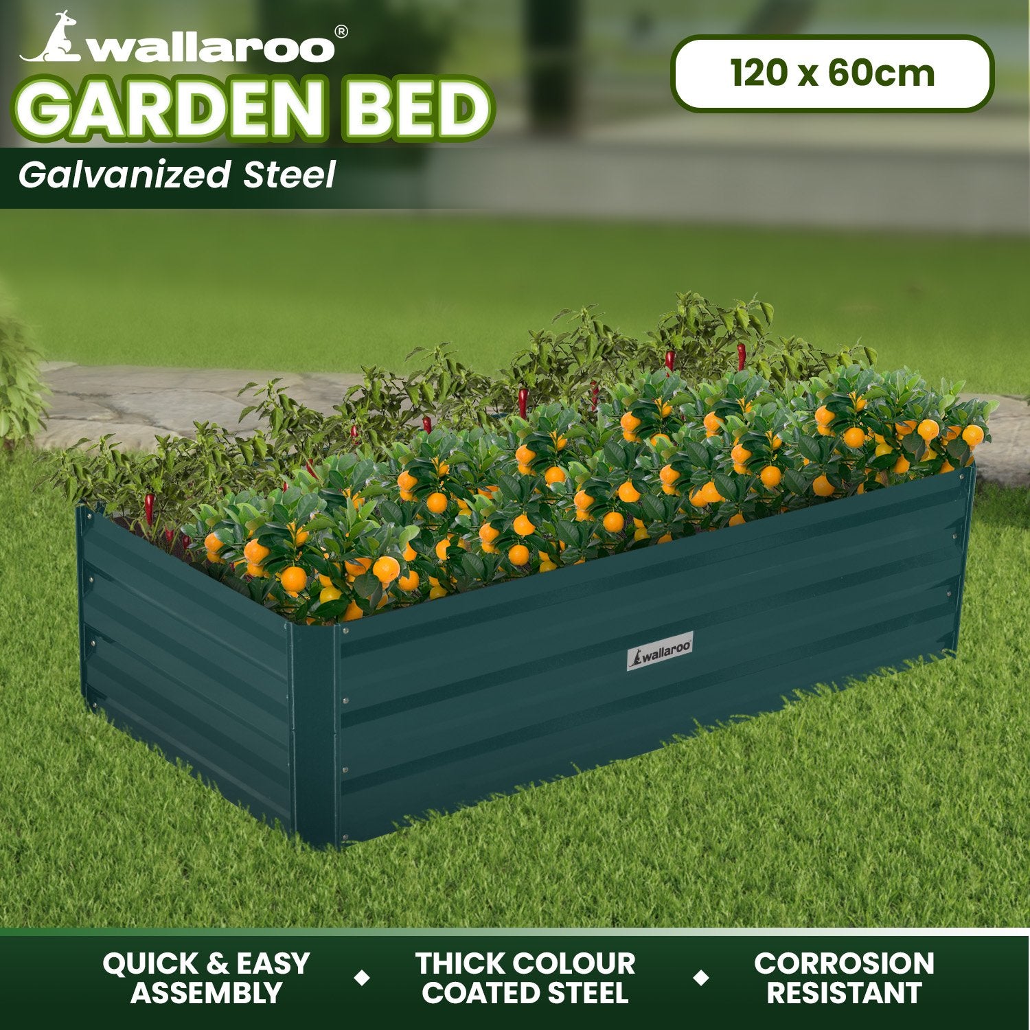 Beds & Bed Frames: Wallaroo Garden Bed 120 x 60 x 30cm Galvanized Steel - Green