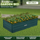 Beds & Bed Frames: Wallaroo Garden Bed 120 x 60 x 30cm Galvanized Steel - Green