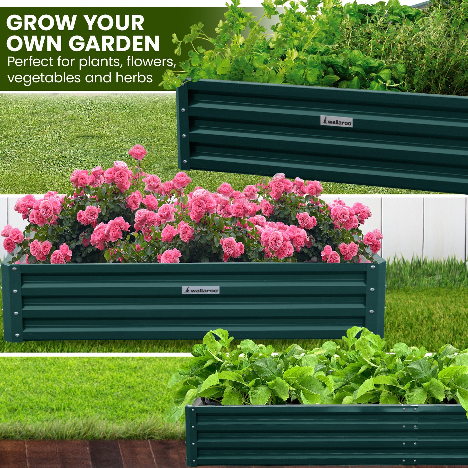 Beds & Bed Frames: Wallaroo Garden Bed 240 x 120 x 30cm Galvanized Steel - Green