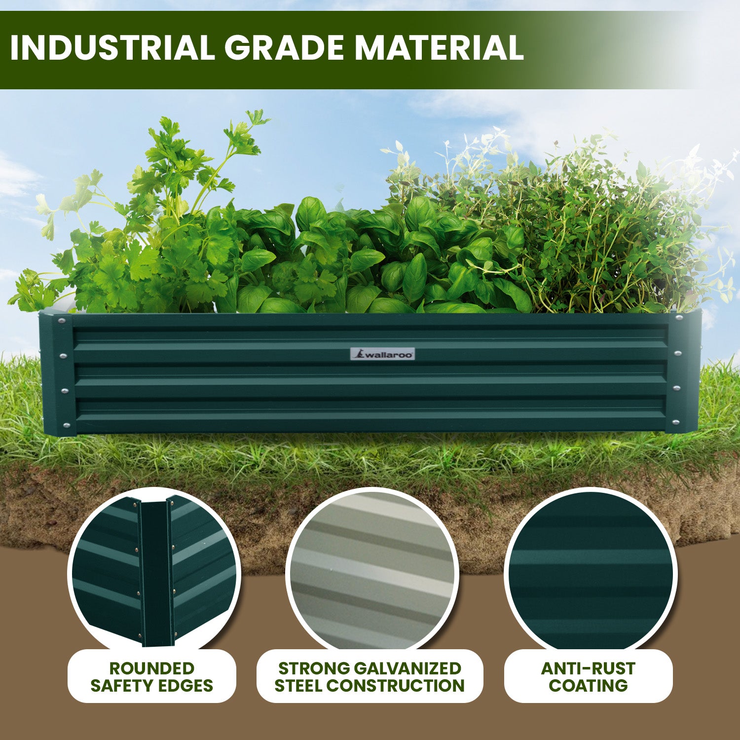 Beds & Bed Frames: Wallaroo Garden Bed 240 x 120 x 30cm Galvanized Steel - Green