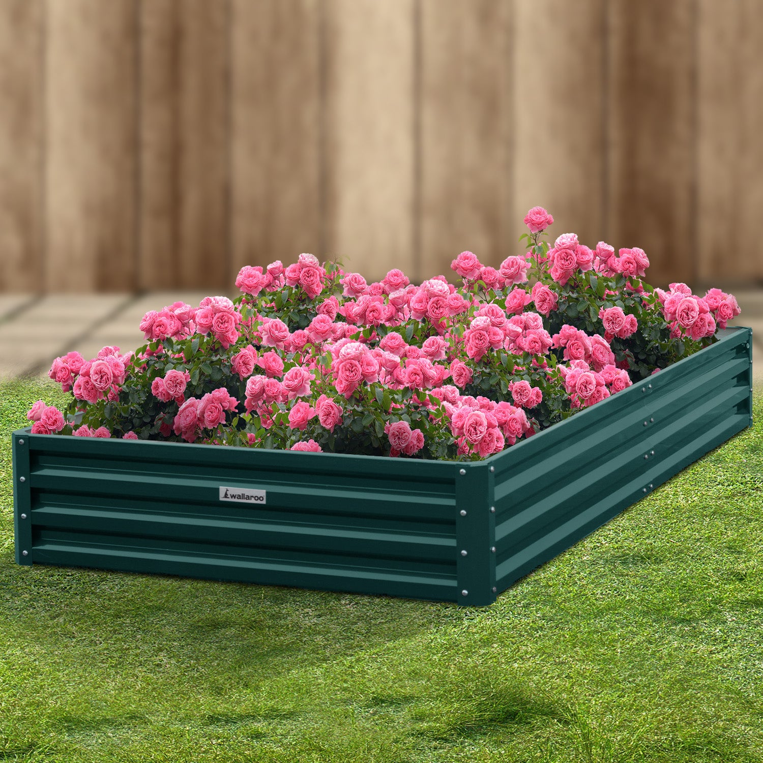 Beds & Bed Frames: Wallaroo Garden Bed 240 x 120 x 30cm Galvanized Steel - Green