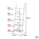 Bookcases & Shelves: Sarantino Aster 5-Tier Ladder Shelf in White