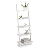Bookcases & Shelves: Sarantino Aster 5-Tier Ladder Shelf in White
