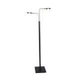 Night Lights & Ambient Lighting: Sarantino LED Metal Floor Lamp with 2 Lights in Brushed Gold and Black Finish