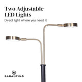 Night Lights & Ambient Lighting: Sarantino LED Metal Floor Lamp with 2 Lights in Brushed Gold and Black Finish