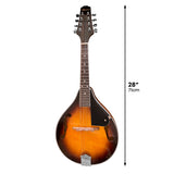 Arm Chairs & Recliners: Karrera Traditional Mandolin - Sunburst