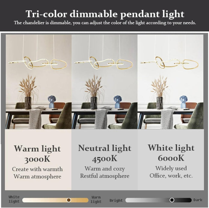 Ceiling Lights: BAMDECOR A24126 Nordic Minimalist LED Pendant Light Adjustable Modern Ring Chandelier for Dining Room and Bar (Black) 1.8 Meters
