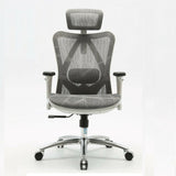 Office & Desk Chairs: Sihoo M57 Ergonomic Office Chair, Computer Chair Desk Chair High Back Chair Breathable,3D Armrest and Lumbar Support Grey without Footrest