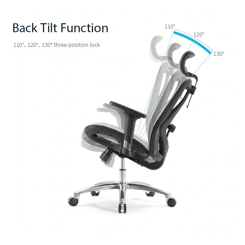 Office & Desk Chairs: Sihoo M57 Ergonomic Office Chair, Computer Chair Desk Chair High Back Chair Breathable,3D Armrest and Lumbar Support Grey without Footrest