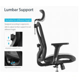 Office & Desk Chairs: Sihoo M57 Ergonomic Office Chair, Computer Chair Desk Chair High Back Chair Breathable,3D Armrest and Lumbar Support Grey without Footrest