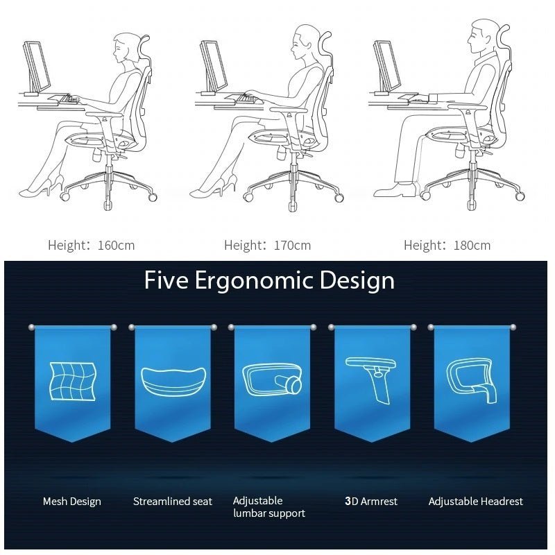 Office & Desk Chairs: Sihoo M57 Ergonomic Office Chair, Computer Chair Desk Chair High Back Chair Breathable,3D Armrest and Lumbar Support Grey without Footrest