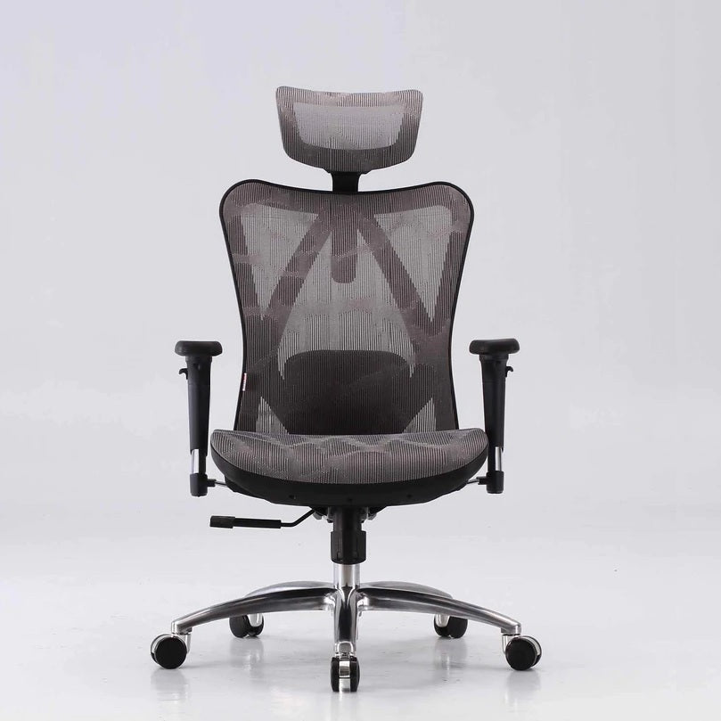 Office & Desk Chairs: Sihoo M57 Ergonomic Office Chair, Computer Chair Desk Chair High Back Chair Breathable,3D Armrest and Lumbar Support Grey without Footrest