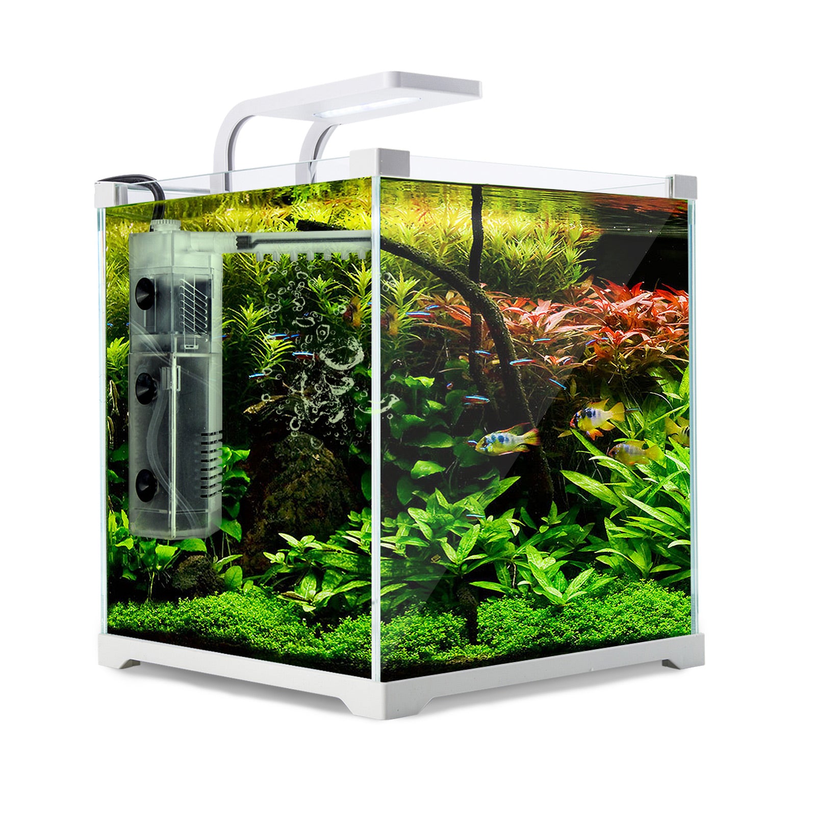 Aquariums: Aquarium Starfire Glass Fish Tank Set Filter Pump 16L