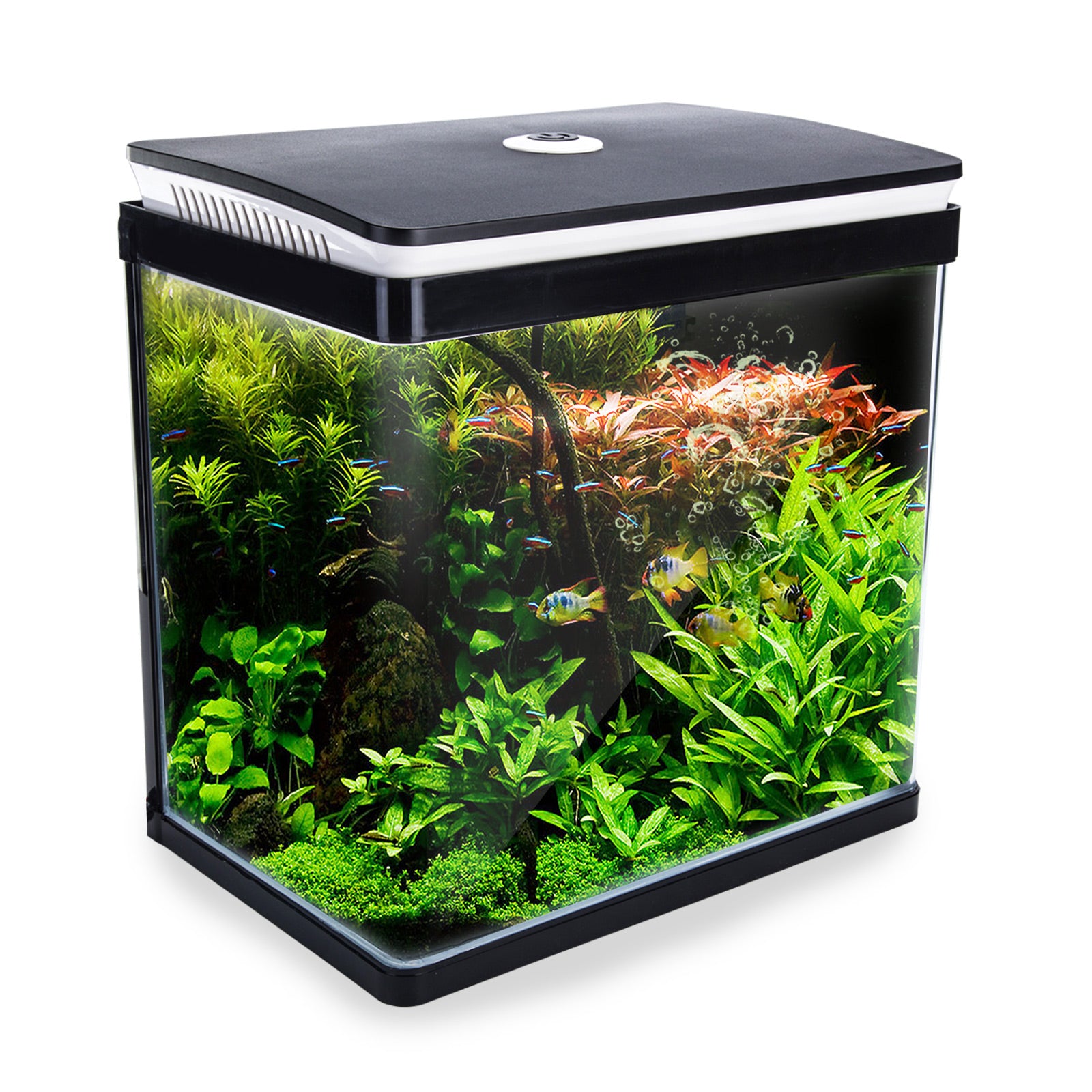 Aquariums: Aquarium Curved Glass RGB LED Fish Tank Set Filter Pump 30L