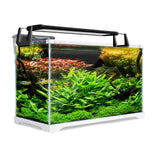 Aquariums: Aquarium Starfire Glass Fish Tank Set Filter Pump 39L