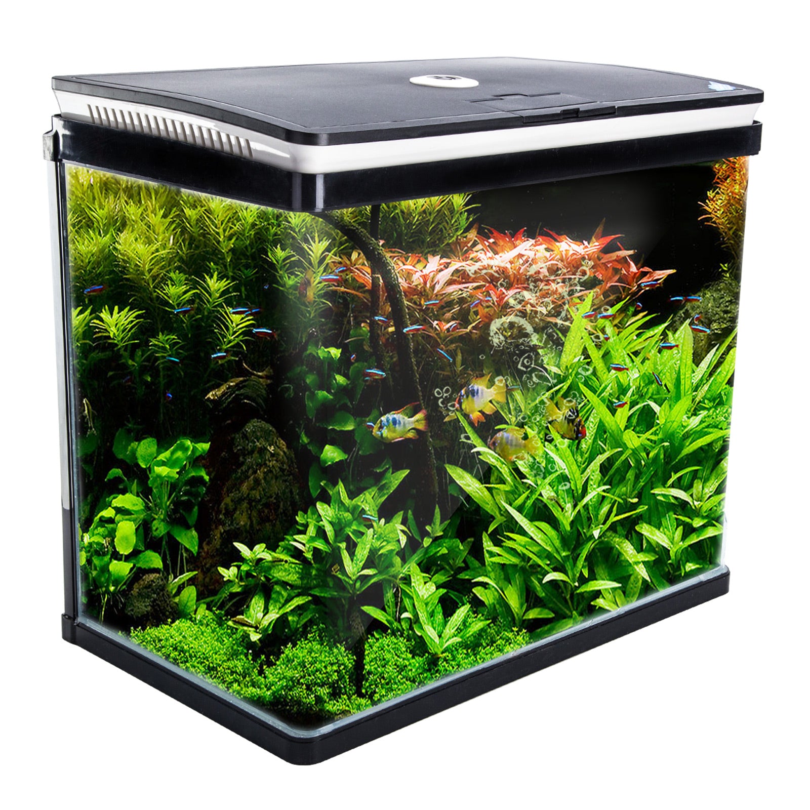 Aquariums: Aquarium Curved Glass RGB LED Fish Tank Set Filter Pump 52L