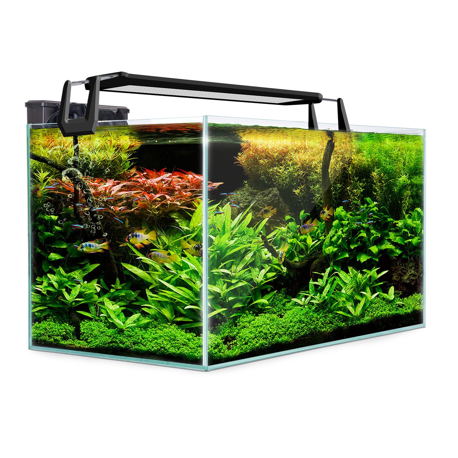 Aquariums: Aquarium Starfire Glass Fish Tank Set Filter Pump 70L