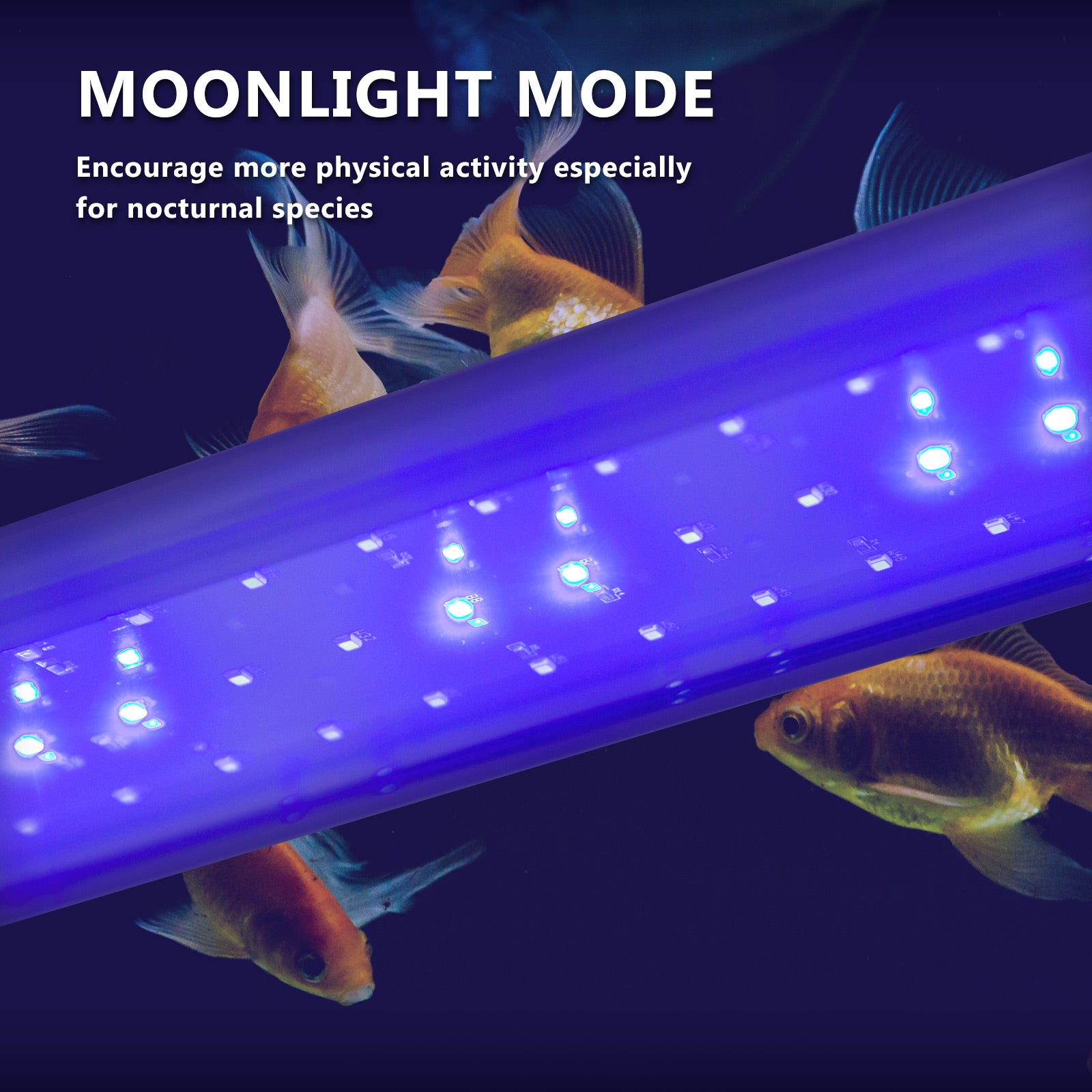 Aquarium Lighting: 27W Set 2 Aquarium Blue White LED Light for Tank 95-115cm
