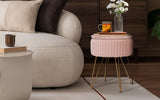 Ottomans & Footstools: Side Table Storage Ottoman - Velvet Padded Stool Vanity Footstool REMY PINK