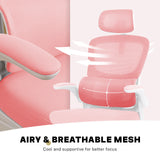 Office & Desk Chairs: Work Office Chair - Lumber Support, Flip-up Armrest, Adjustable Headrest SITIO - Pink
