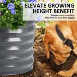 2X Raised Garden Bed Galvanised Steel Planter Oval  320 x 80 x 45cm GREY