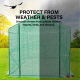 Greenhouses & Accessories: Garden Greenhouse Walk-In Shed 3.5x2x2M PE Apex