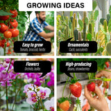 Greenhouses & Accessories: Garden Greenhouse Walk-In Shed 3.5x2x2M PE Apex