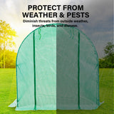 Greenhouses & Accessories: Garden Greenhouse Shed PE Cover Only 300cm Dome Tunnel