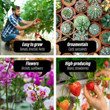 Greenhouses & Accessories: Garden Greenhouse Shed PE Cover Only 300cm Dome Tunnel