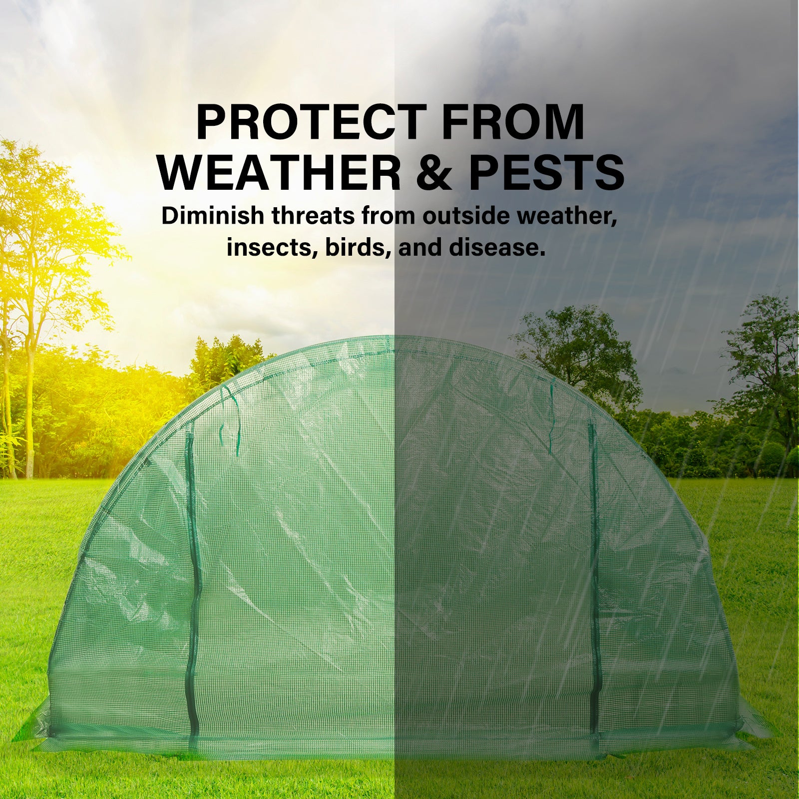 Greenhouses & Accessories: Garden Greenhouse Shed PE Cover Only 400cm Dome Tunnel