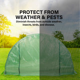 Greenhouses & Accessories: Garden Greenhouse Shed PE Cover Only 400cm Dome Tunnel